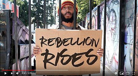 Reggae von Ziggy Marley: Rebellion rises ...
