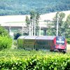Durch Weingärten und Felder verläßt der ÖBB-Railjet den Neusiedler See ...
