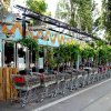 'Urban-Weinbau' in Einkaufswagen vor dem Musikcafe Flex am Wiener Donaukanal
