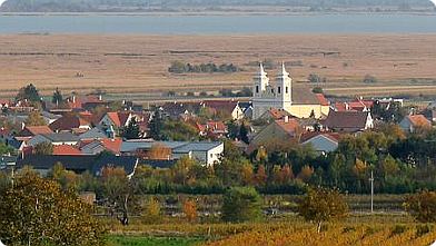 Winden am Neusiedler See im Herbst ...