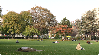 Sigmund-Freud-Park in Wien im Herbst, junge Menschen sitzen in der Wiese ...