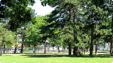 Der Martin-Luther-King-Park in Wien ...