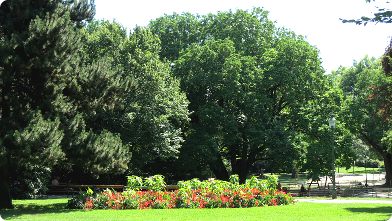 Der Waldmüllerpark in Wien, Favoriten
