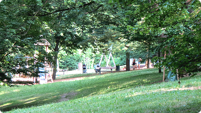Wiese unter Bäumen im Hackinger Schlosspark, dahinter der Spielplatz ...
