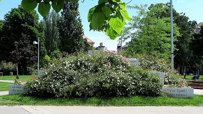Blumenpyramide im Wiener Märzpark ...