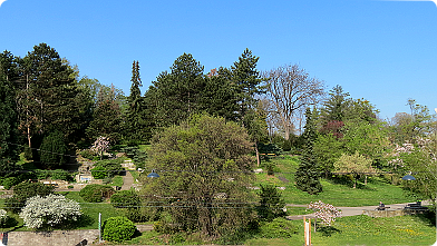 Der Wertheimsteinpark in Wien, Döbling, von der Heiligenstädter Straße kommend ...