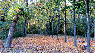 Floridsdorfer Aupark im Herbst ...