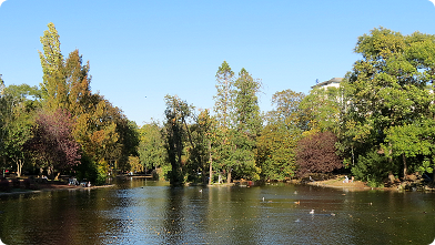 Der Stadtparkteich im Stadtpark Wien im Herbst ...