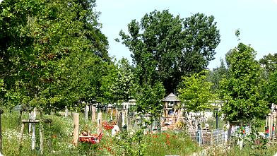 Kinderspielplatzin der Blumenwiese im Park Stadtwildnis - Freie Mitte, Wien ...