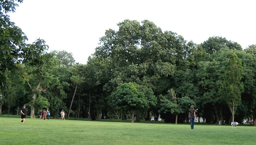 Wiese umgeben von Bäumen im Vérmező in Budapest, mehrere Menschen ...