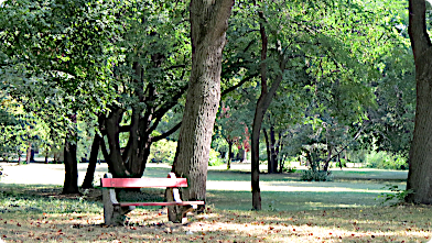 Parkbank unter Bäumen im Volkspark Nepliget in Budapest ...